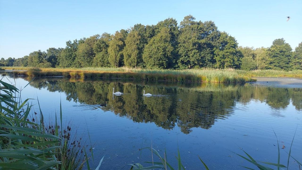 Helle Ferienwohnung In Nettetal Bei Venlo المظهر الخارجي الصورة