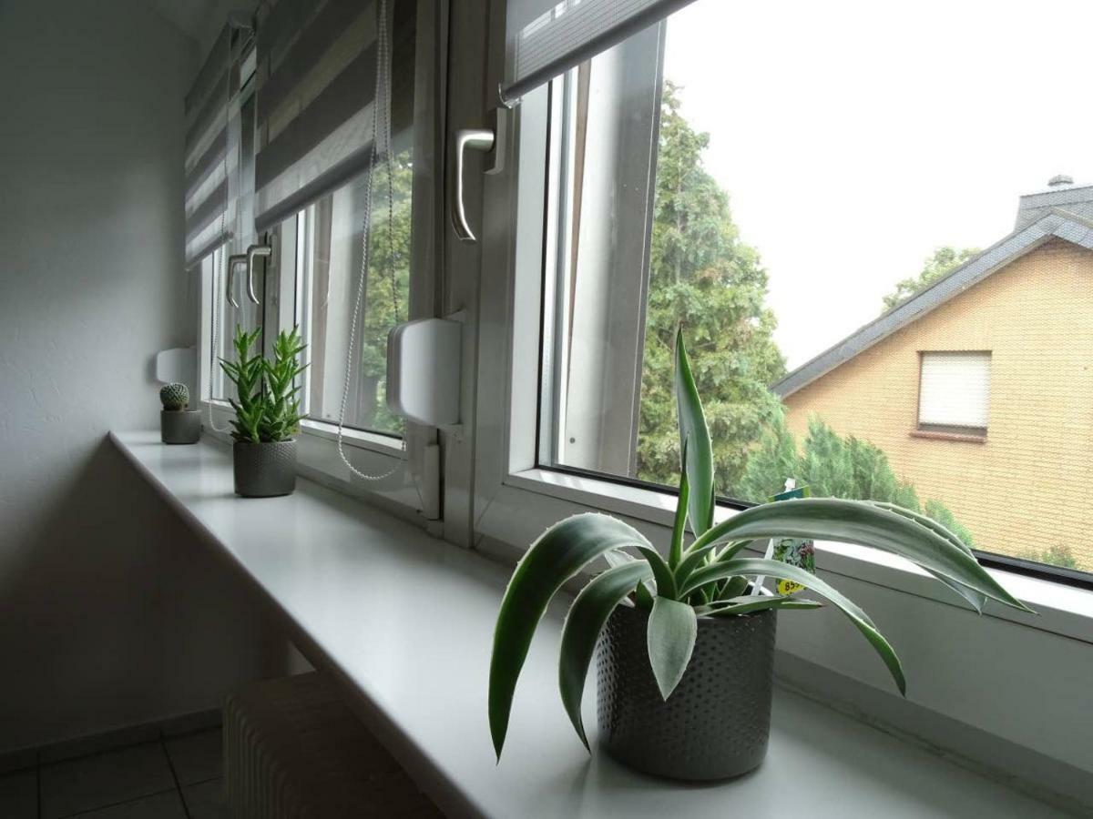 Helle Ferienwohnung In Nettetal Bei Venlo المظهر الخارجي الصورة